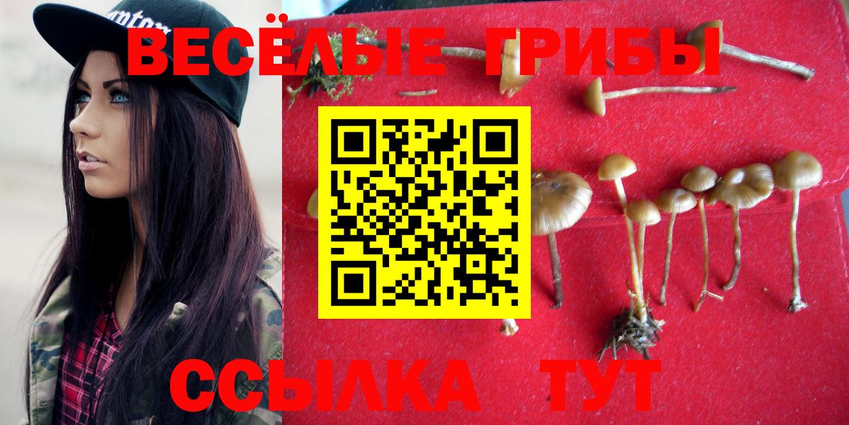 Псилоцибиновые грибы прущие грибы Оренбург
