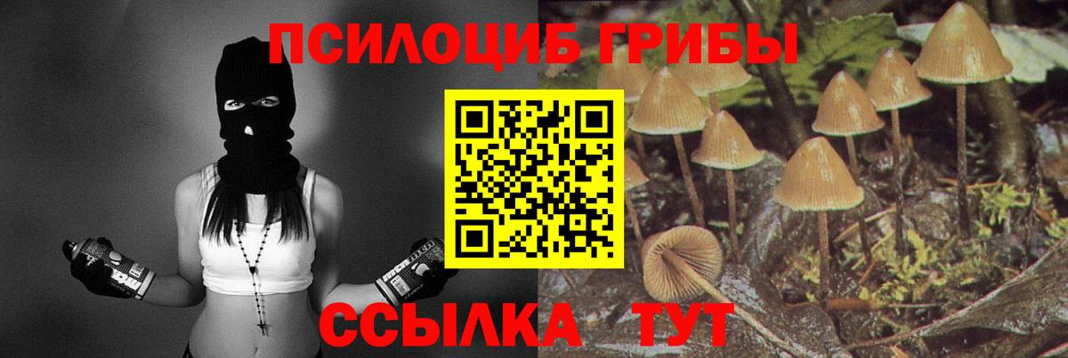 Галлюциногенные грибы Psilocybine cubensis  Вход с VPN  как найти наркотики  Оренбург 
