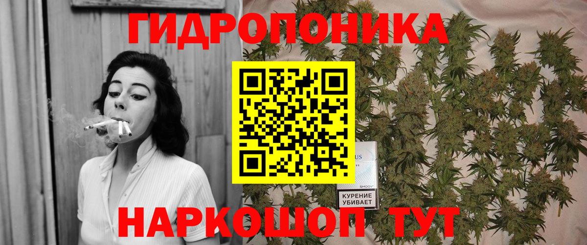 Канабис White Widow  Каннабис White Widow  Оренбург  МАРИХУАНА семена  Вход с VPN 